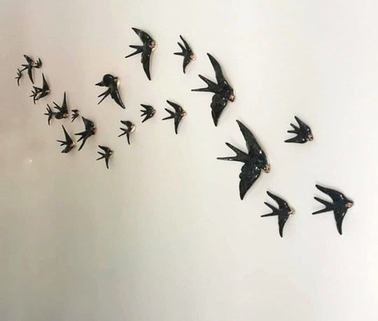 Andorinhas - swallows